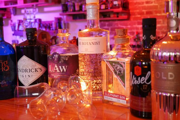Gourmet-Tasting "Welt des Gin" - Gin-Tasting - Image 0