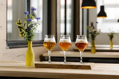 Braukurs in München: Ein Weißbier, bitte! - Image 6