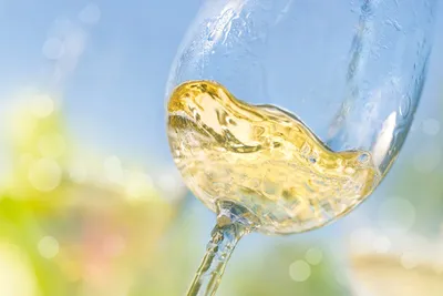 Wein-Weltreise Weiß - Image 1