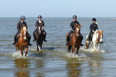 Ausritte für Einsteiger durch die Ostseelagunen - Image 2