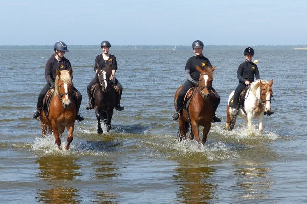 Ausritte für Einsteiger durch die Ostseelagunen - Image 2