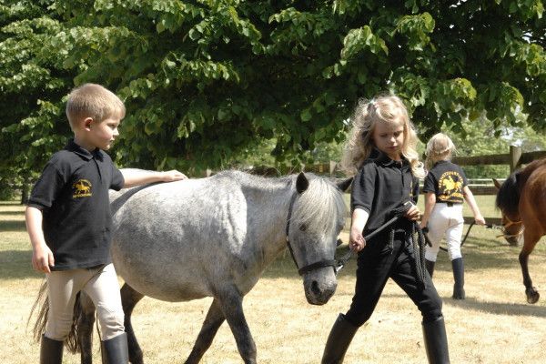 Ponyspaziergang über die Galopprennbahn - Image 1