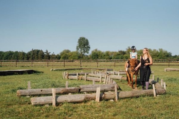 Ponyabenteuer in Bad Doberan - Image 3