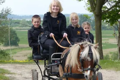 Ponykutsche fahren - Gift Image