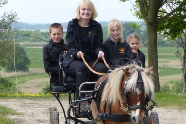 Ponykutschfahrten in Hirschburg - Image 1