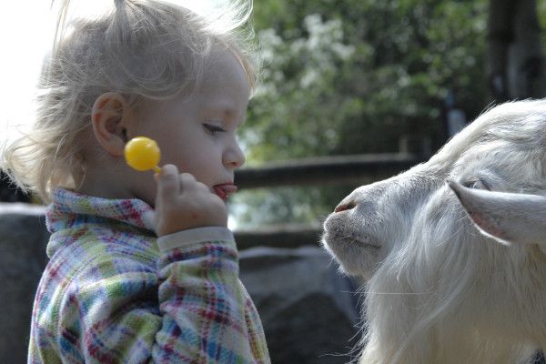 Kindertagesbetreuung „Tag im Pferdestall“ in Wendorf - Image 2