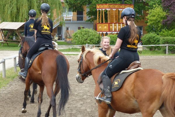 Gruppenunterricht Dressur in Barth - Image 3