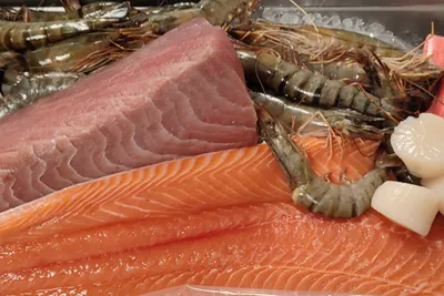Frischer Fisch & Garnelen für Sushi