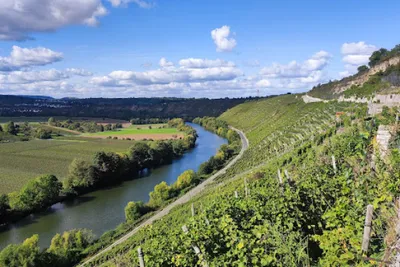 Segway-Weinbergstour  - Gift Image