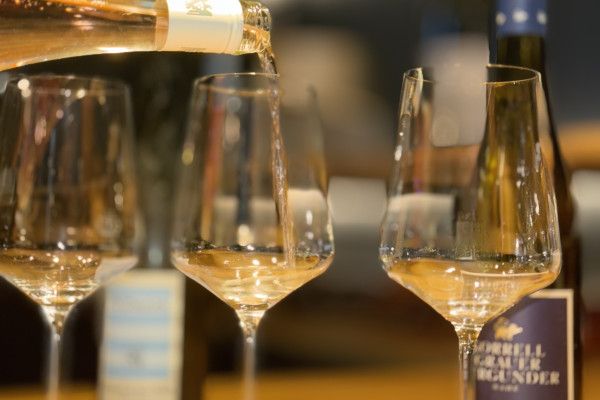 Die Farben des Geschmacks - Sensorik Weinprobe - Image 2