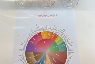 Die Farben des Geschmacks - Sensorik Weinprobe - Image 3