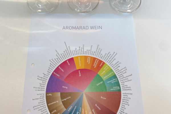 Die Farben des Geschmacks - Sensorik Weinprobe - Image 3