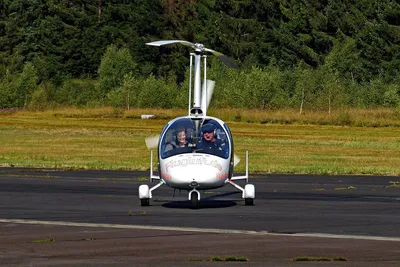 Magni M24