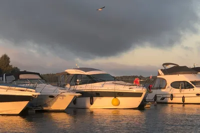 Sundowner Cruise Motoryacht mit Skipper - Image 0
