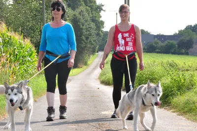 Husky-Trekking - Image 4