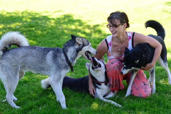 Husky-Knuddelzeit - Image 4