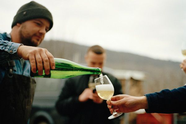 Reil, Mosel: Guided organic cellar tour and tasting - Image 1
