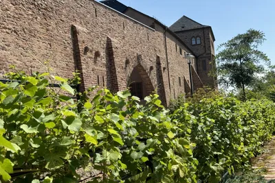 Weingartenführung mit Verkostung - Gift Image