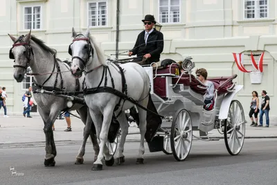 Kutschfahrt (40 Min.) - Gift Image