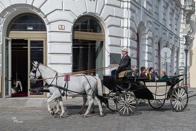 Kutschenfahrt (60 Min.) - Gift Image