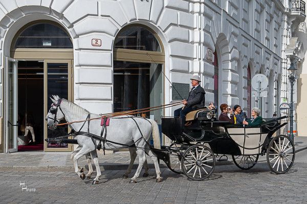 Downtown tour – 60 min. - Image 0