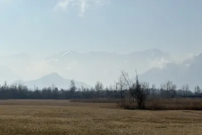 View across the Murnau Moor to the Bavarian Prealps and the Wetterstein Mountains