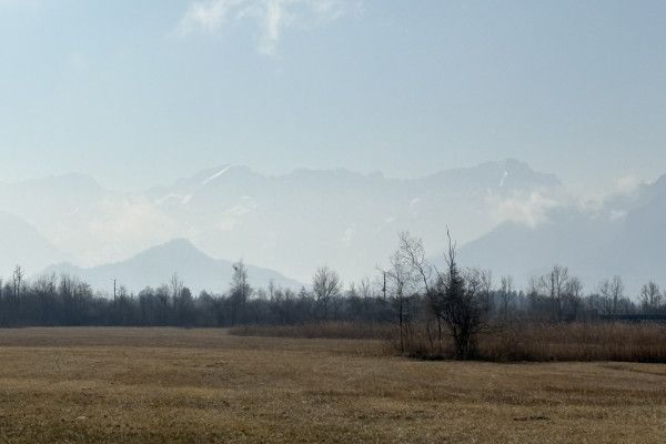 View across the Murnau Moor to the Bavarian Prealps and the Wetterstein Mountains