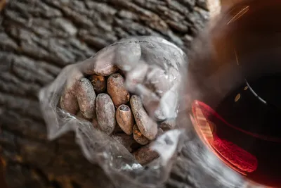 Wein- & Schokoladenseminar - Gift Image