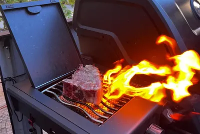 Flachgrillen 2.0 ein Grill 20 Sachen 10 Gäste - Image 1