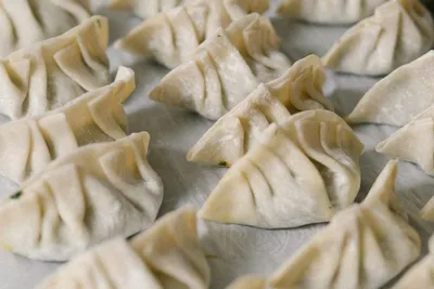 Gyoza Teigtaschen - gehören zu jedem Asia Menü.