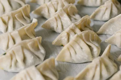 Gyoza Teigtaschen - gehören zu jedem Asia Menü.