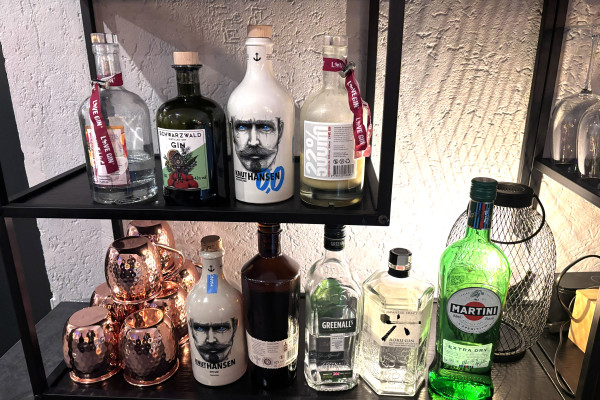 Gin Auswahl
