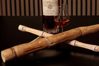 Rum Tasting GivoGroup - Image 2
