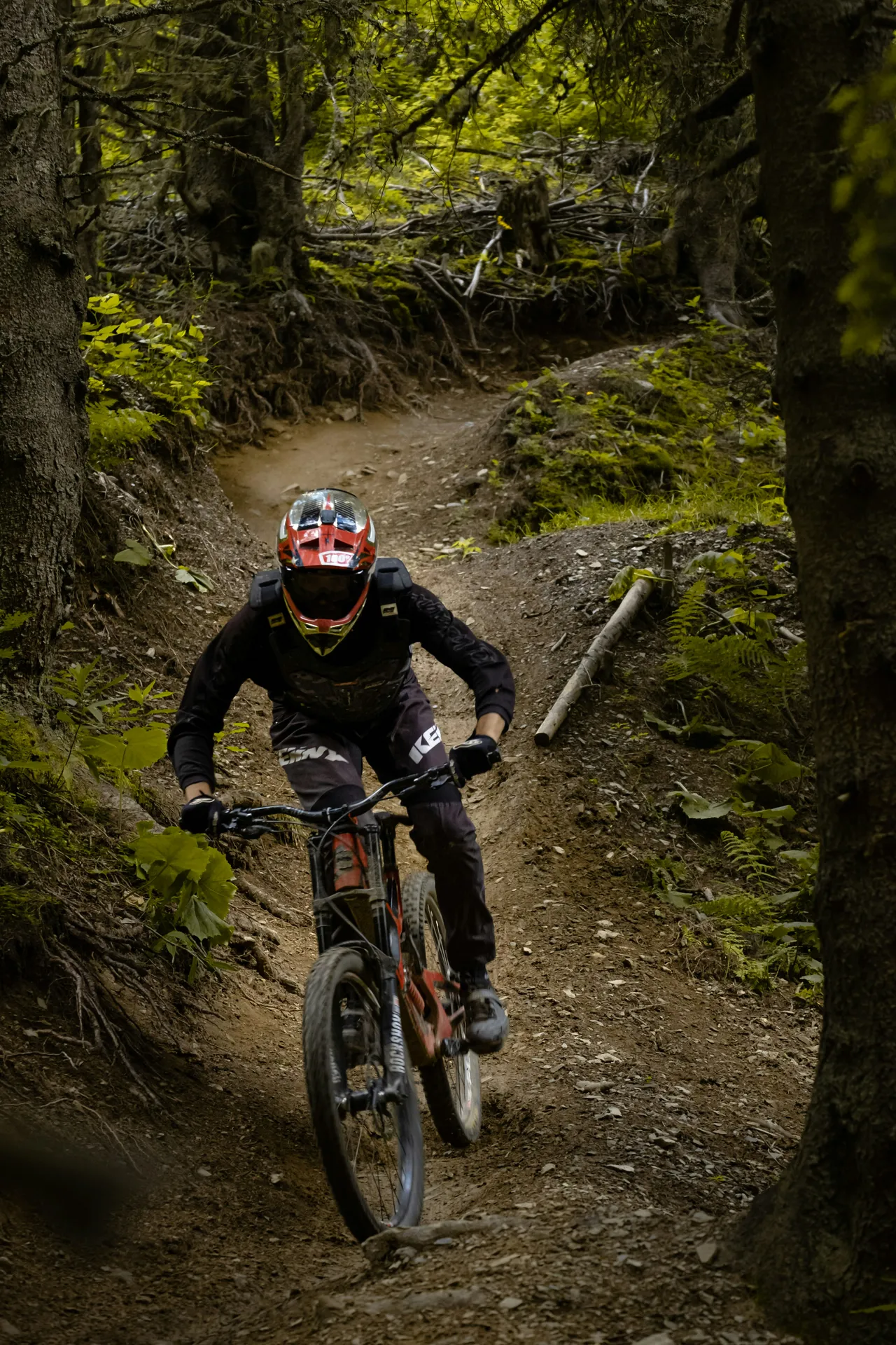 Man in black jacket riding a mountain bike on a forest trail