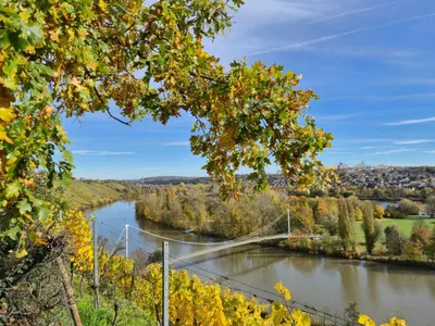 WEIN "BERG" BIER TOUR - Image 4