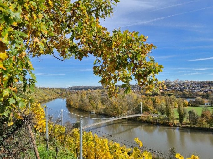 WEIN "BERG" BIER TOUR - Image 3