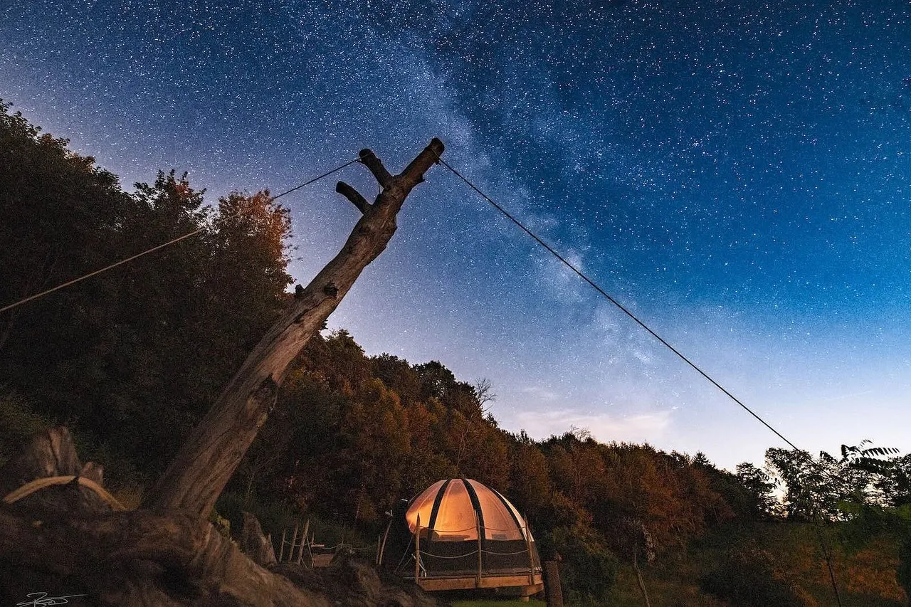 Illuminated bubble tent at the edge of a forest under a starry sky with the Milky Way