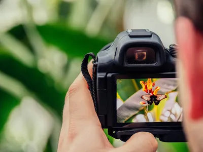 Fotokurs mit dem Rad - Gift Image
