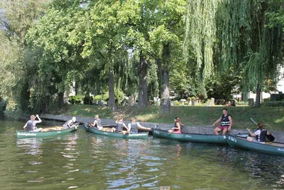 Several canoes with paddlers gliding along a willow-lined riverbank in Berlin