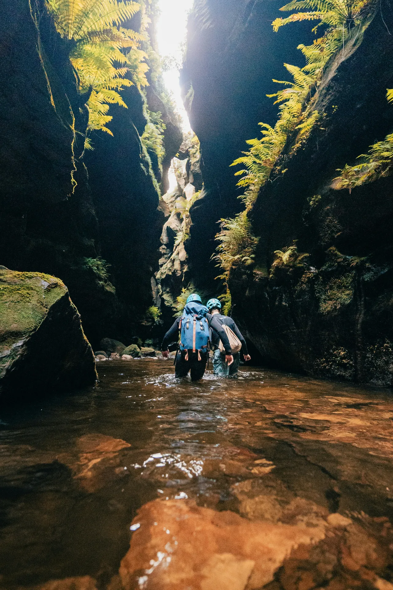 Canyoning group exploring a narrow gorge with crystal-clear water and steep rock walls.