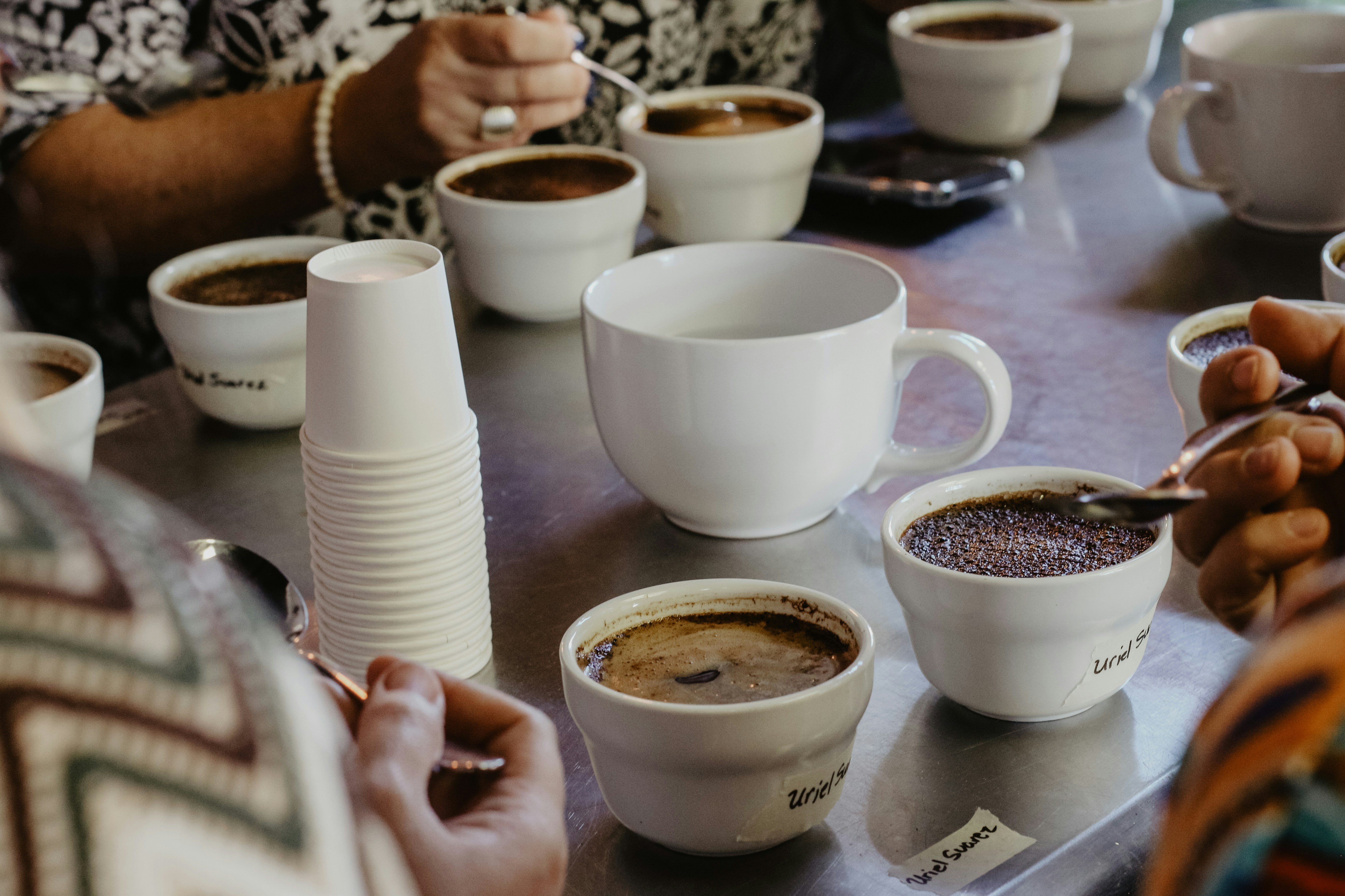 A line of small white cups filled with dark coffee sits on a counter for a professional coffee cupping and tasting session.