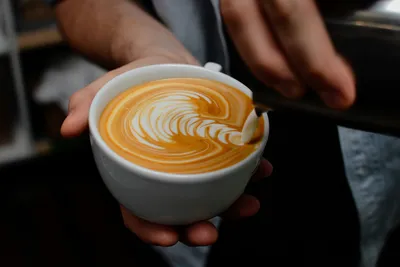 Hands holding a white ceramic cup of coffee with brown-and-white rosetta (rosettta leaf) latte art pattern in the crema.