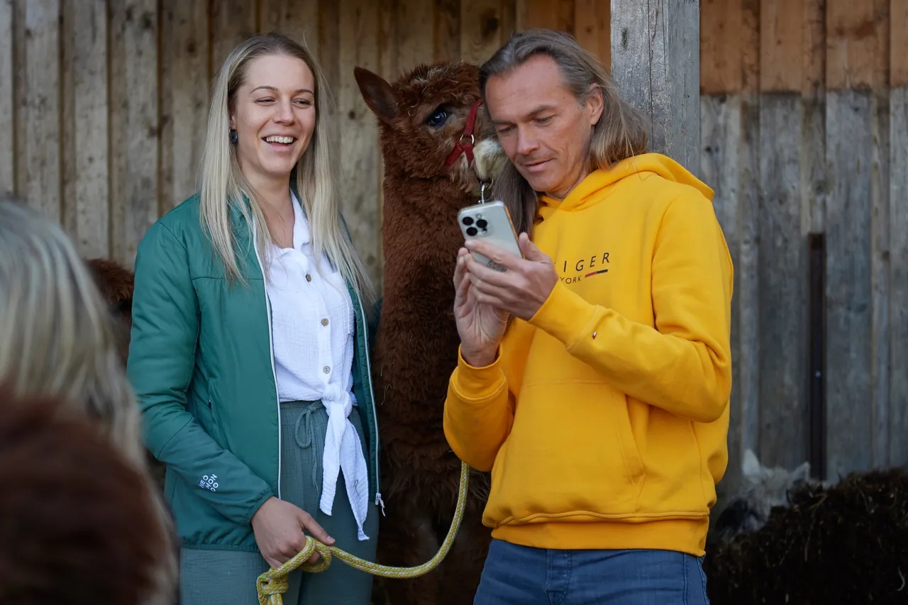 Laughing couple holding an alpaca on a lead in front of a wooden barn