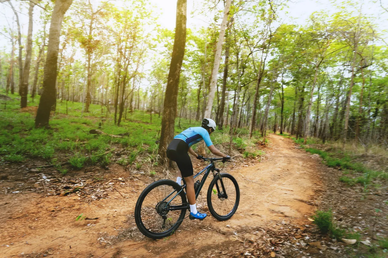 A cyclist from behind riding a mountain bike along a wide dirt path cutting through a bright, sunlit forest.