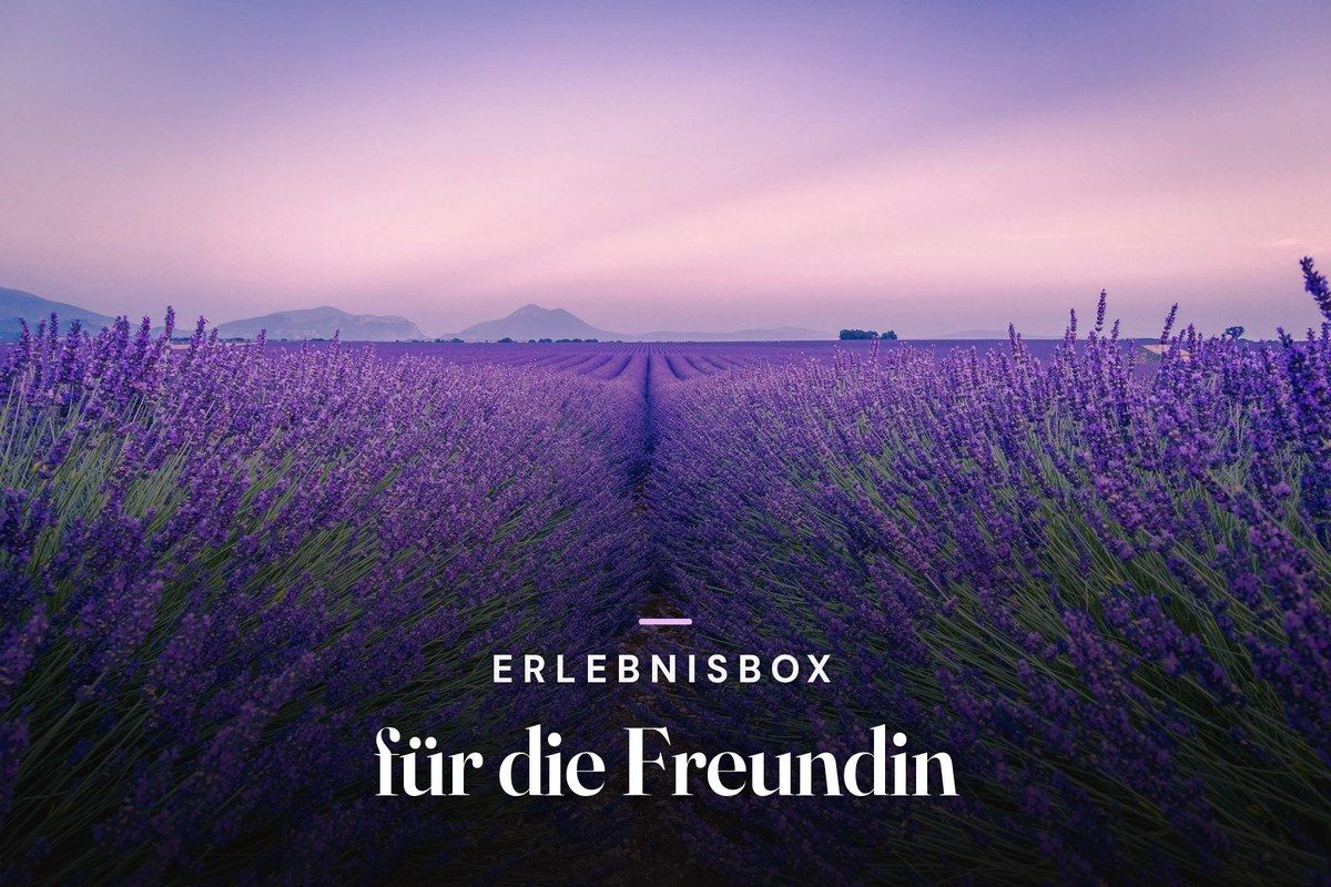 Experience gift box for your girlfriend – lavender field stretching to the horizon at dusk