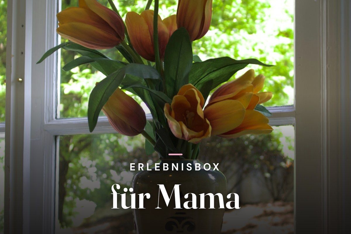 Experience gift box for mum – orange tulips in a vase by a window