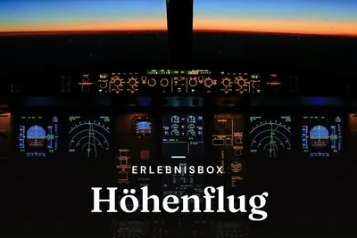 Illuminated airliner cockpit instruments with the horizon at dusk