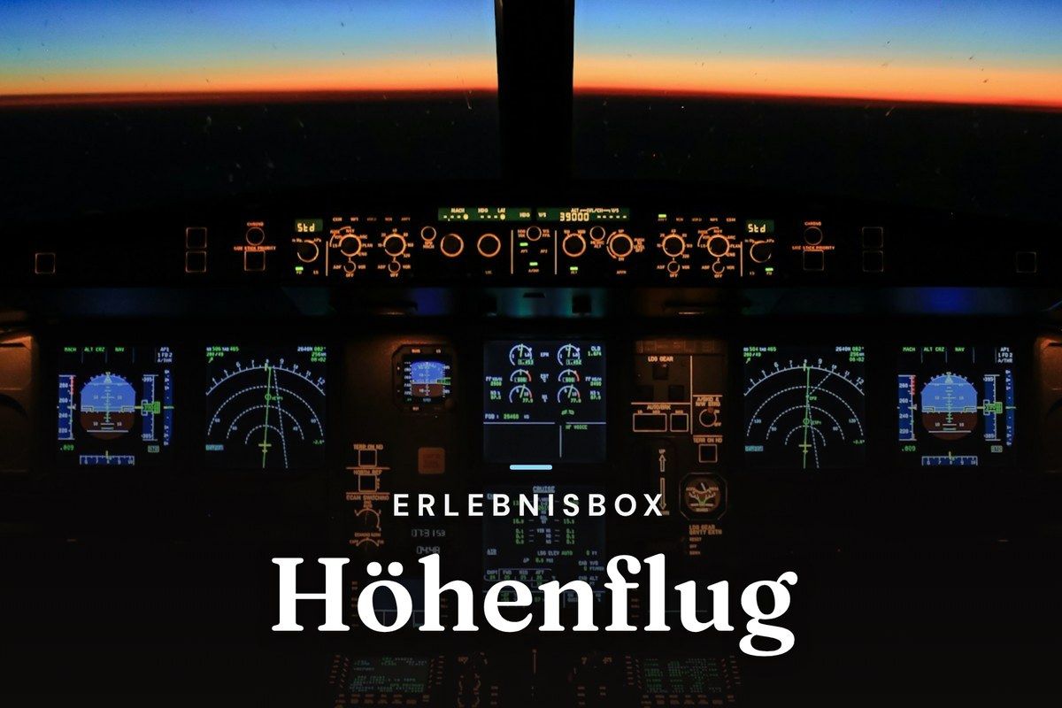 Illuminated airliner cockpit instruments with the horizon at dusk