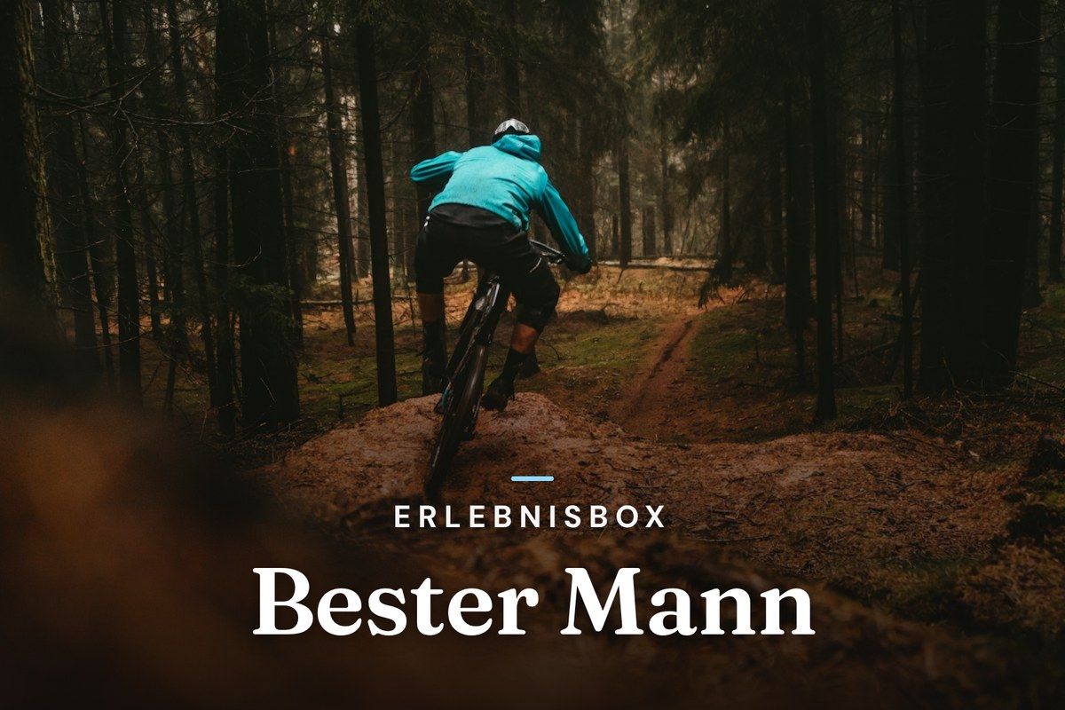 Mountain biker riding a dirt trail through a dark forest