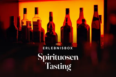 Silhouettes of spirit bottles lined up on a shelf in front of a glowing orange backlight in a bar, with the text “Erlebnisbox – Spirituosen Tasting”